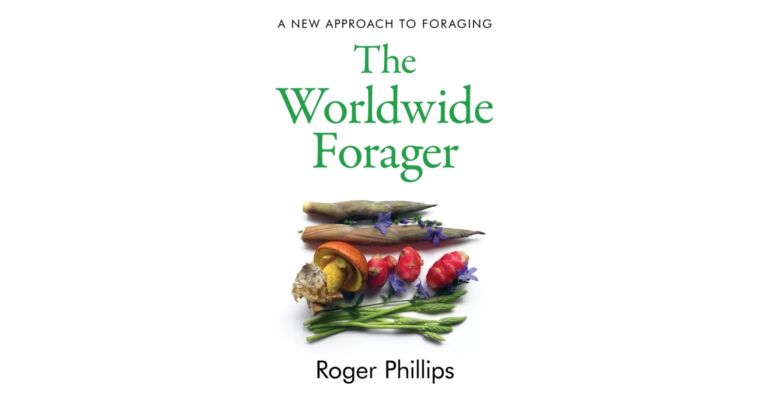 The Worldwide Forager : A New Approach to Foraging