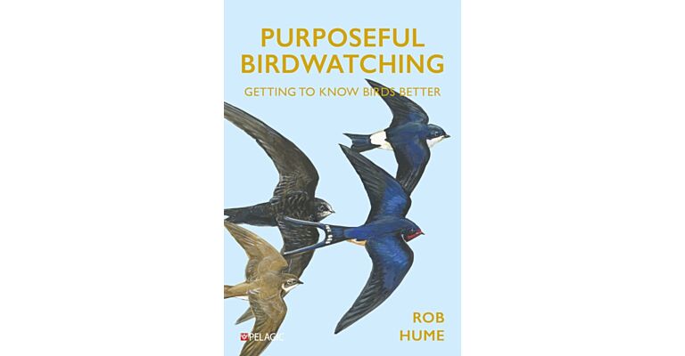 Purposeful Birdwatching - Getting to Know Birds Better (February 2024)