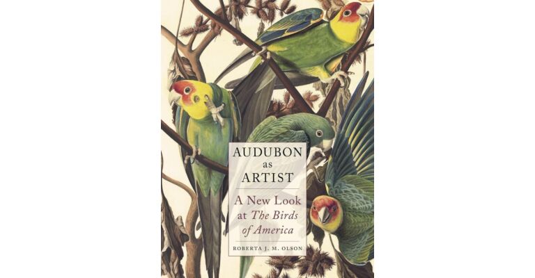 Audubon as Artist - A New Look at the Birds of America