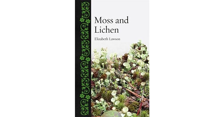Moss and Lichen
