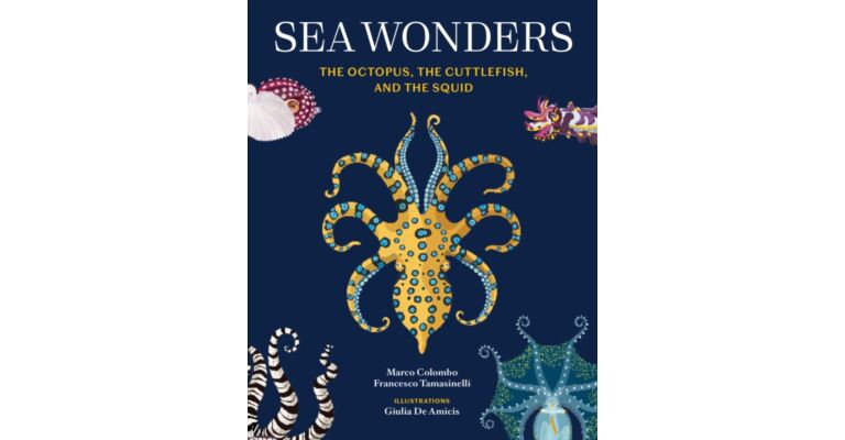 Sea Wonders : The Octopus, the Cuttlefish, and the Squid