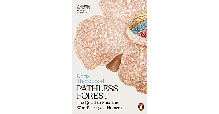 The Pathless Forest