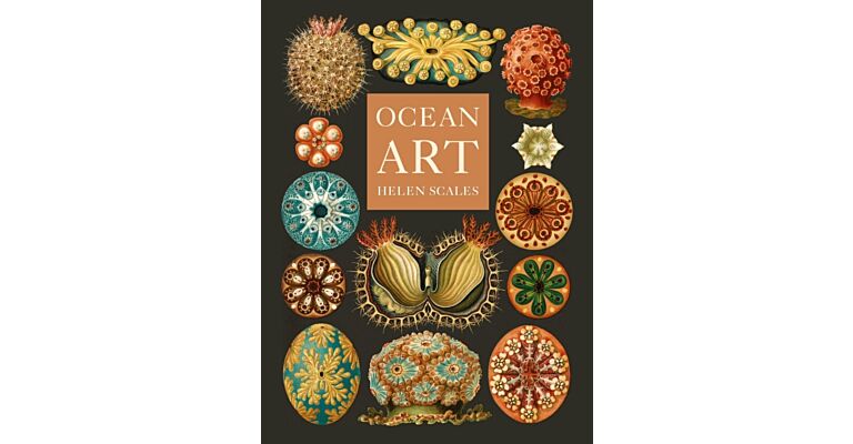 Ocean Art - From the Shore to the Deep
