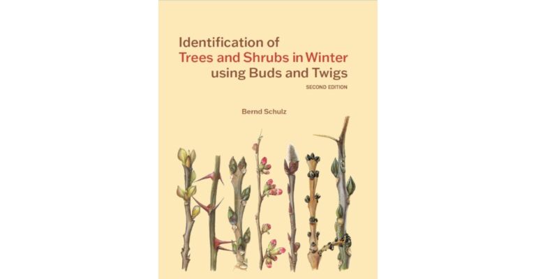 Identification of Trees and Shrubs in Winter Using Buds and Twigs