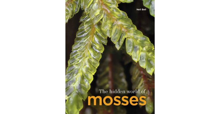 The Hidden World of Mosses