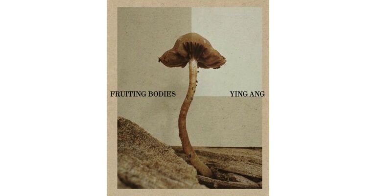 Fruiting Bodies