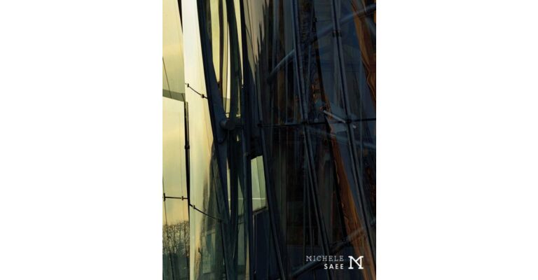 Michele Saee - Philosophy and Proces: Projects1985-2017