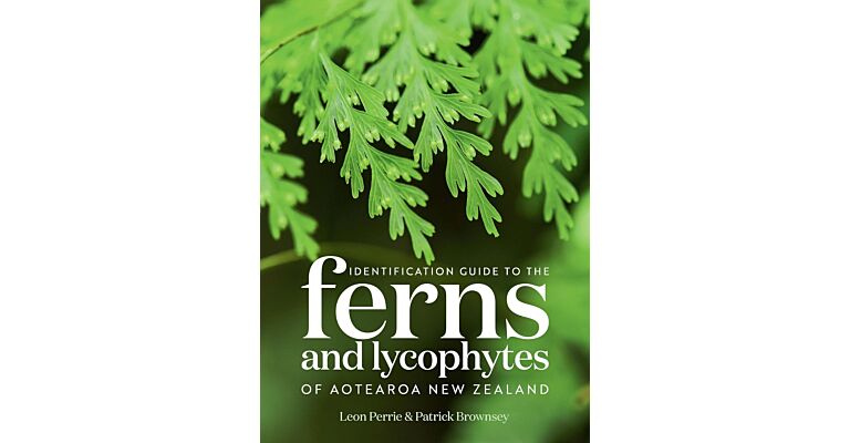 Identification Guide to the Ferns and Lycophytes of Aotearoa New Zealand