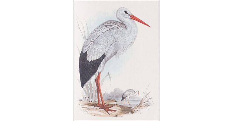 Notebook Birds of Europe