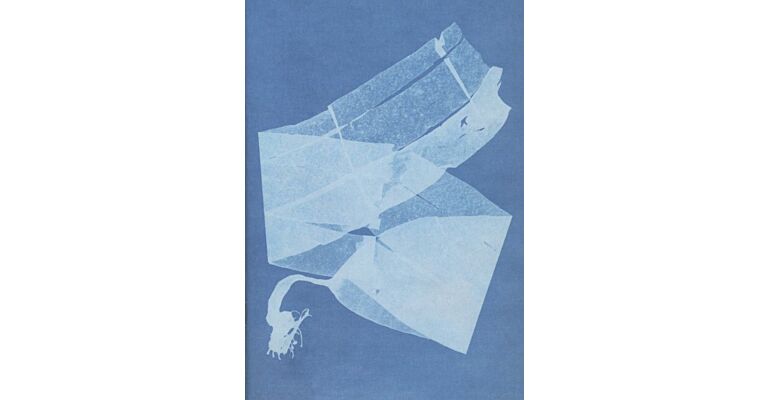 Notebook Sea Algae Cyanotype