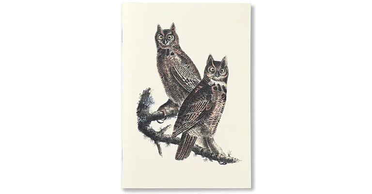 Notebook Birds of America