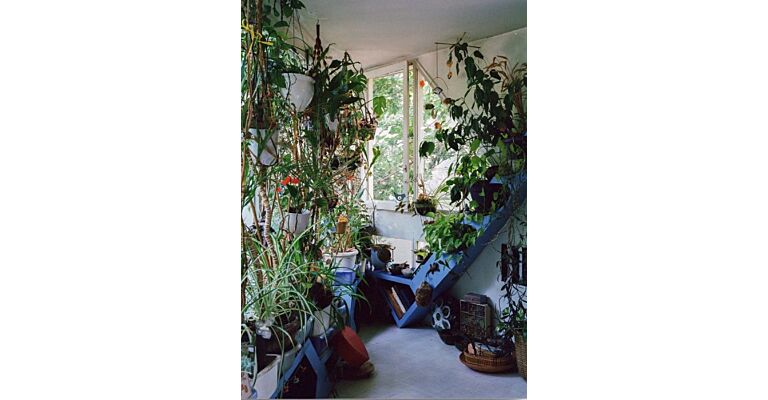 Evan Renaudie – Les Étoiles d’Ivry, a familly adventure