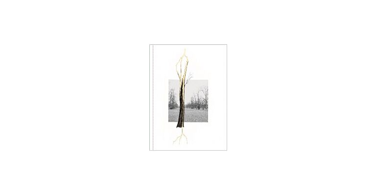 Giuseppe Penone - Thoughts in the Roots
