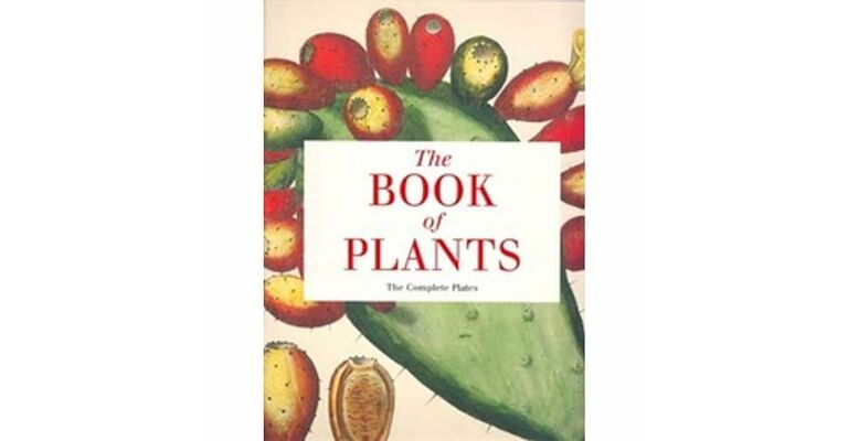 Basilius Besler - The Book of Plants