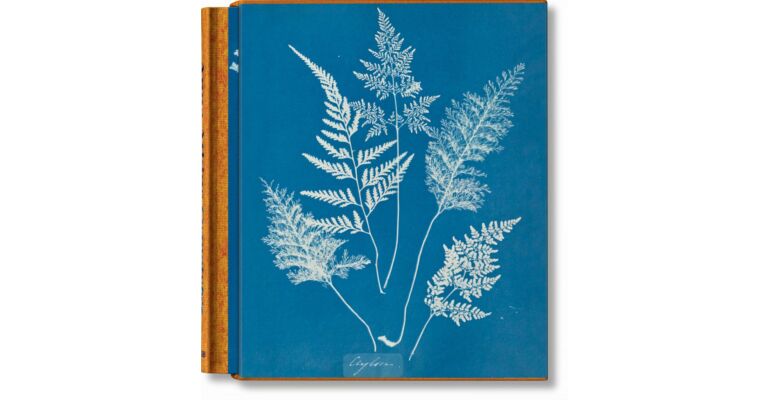 Anna Atkins Cyanotypes