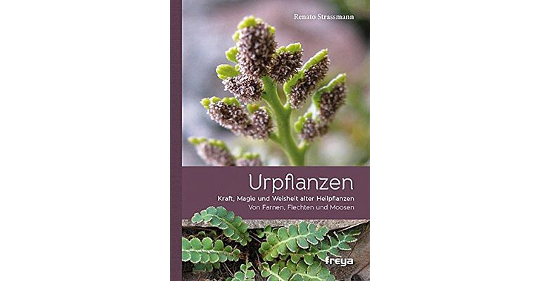 Urpflanzen - Kraft, Magie und Weisheit alter Heilpflanzen: Von Farnen, Flechten und Moosen