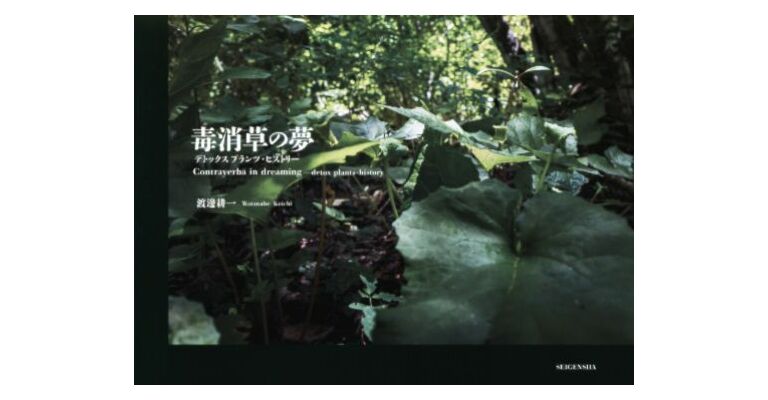 Watanabe Koichi: Contrayerba in Dreaming - detox plants-history