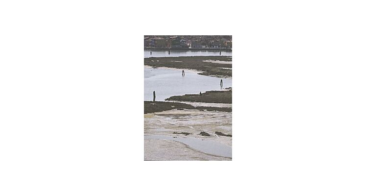 Urban Shores - Towards Landscape-Based Coastal Adaptation