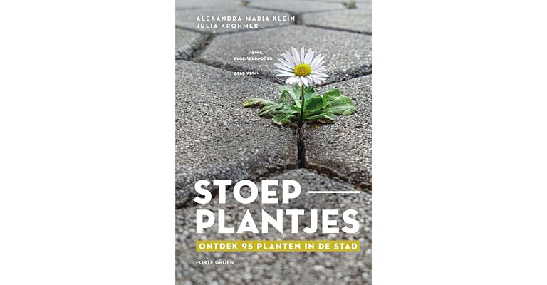 Stoepplantjes - Ontdek 95 planten in de stad