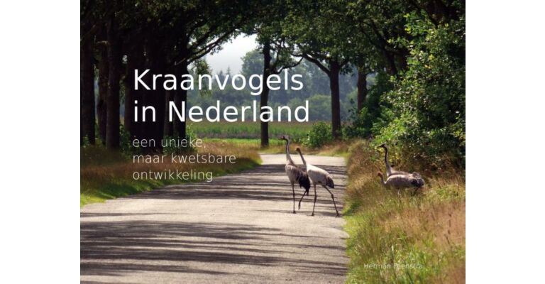 Kraanvogels in Nederland - een unieke, maar kwetsbare ontwikkeling