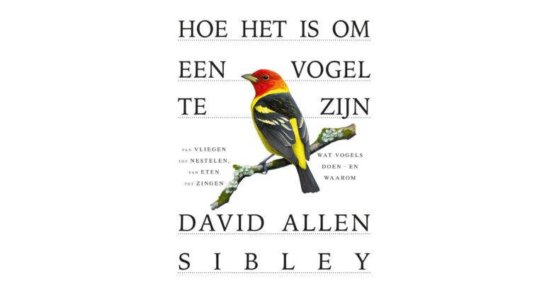 Hoe het is om een vogel te zijn