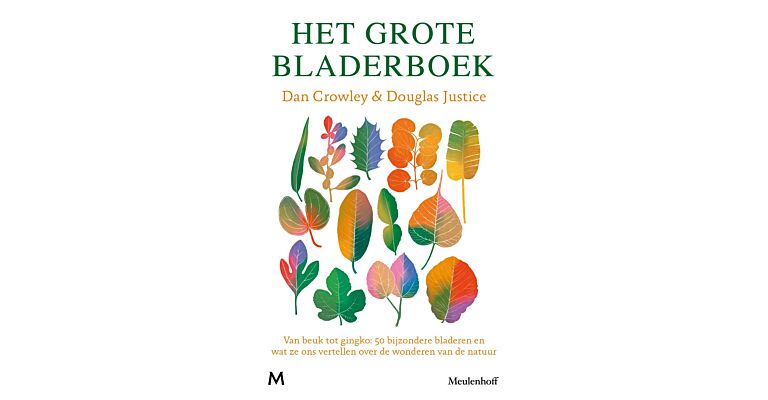 Het grote bladerboek - Van Beuk tot Ginkgo: 50 bijzondere bladeren