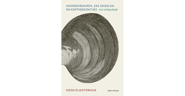 Noordkrompen, zee-engelen en koffieboontjes - Een schelpenboek