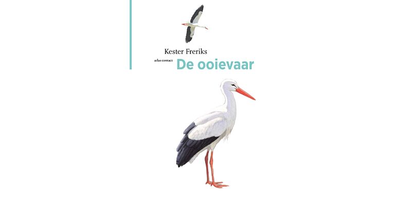 De ooievaar