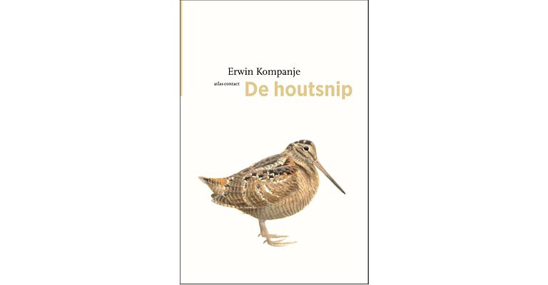 De Houtsnip