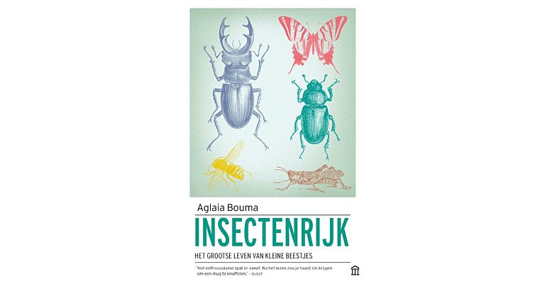 Insectenrijk - Het grootse leven van kleine beestjes (PBK)