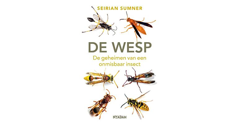 De Wesp - De geheimen van een onmisbaar insect