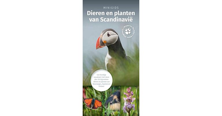 Minigids dieren en planten van Scandinavie een handige vouwkaart met meer dan 150 dieren en planten van Noorwegen, Zweden en Finland