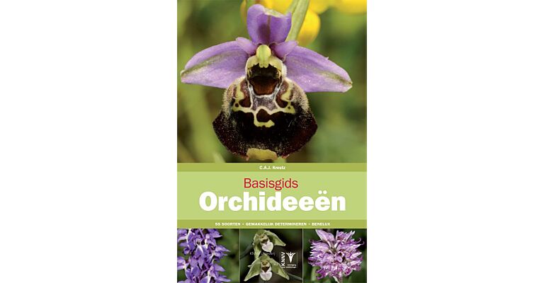 Basisgids Orchideeën