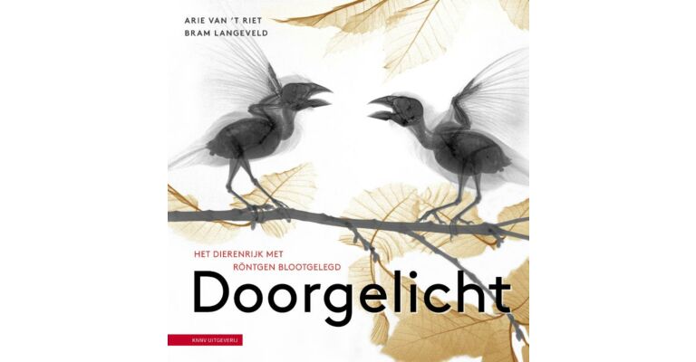 Doorgelicht -  Het dierenrijk met röntgen blootgelegd