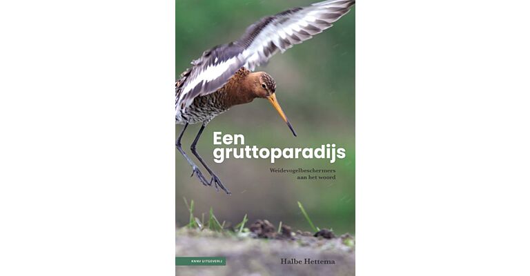 Een Gruttoparadijs - Weidevogelbeschermers aan het woord