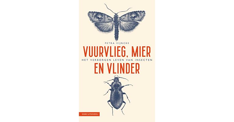 Vuurvlieg, mier en vlinder - Het verborgen leven van insecten