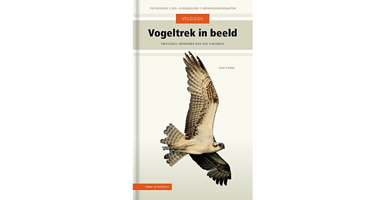 Veldgids vogeltrek in beeld - Vogels herkennen aan hun vliegbeeld (Sept 2023)