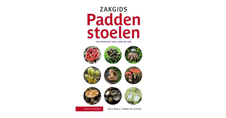 Zakgids Paddenstoelen - 100 soorten: Stad, dorp en tuin