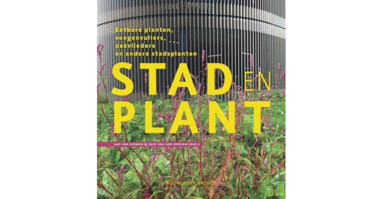 Stad en plant