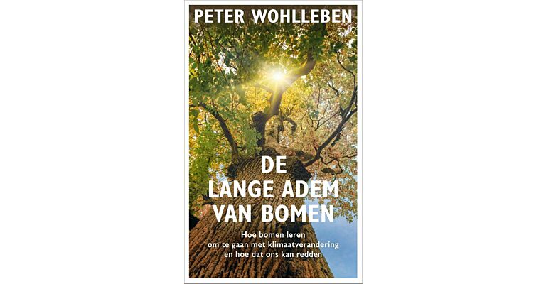 De lange adem van bomen