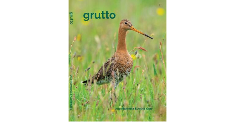 Grutto