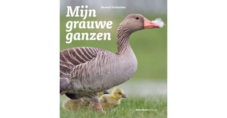 Mijn grauwe ganzen