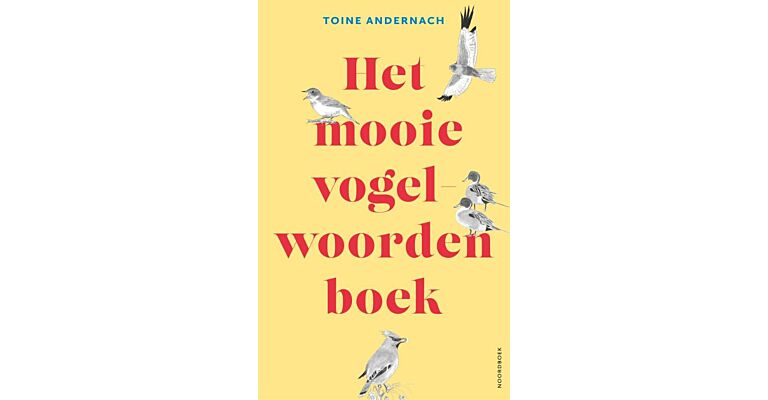 Het mooie vogelwoorden boek (November 2023)