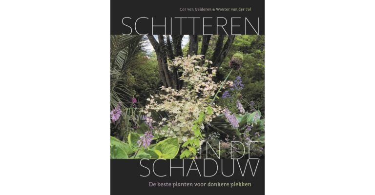 Schitteren in de schaduw- De beste planten voor donkere plekken