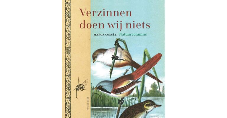 Verzinnen doen wij niets - Natuurcolumns