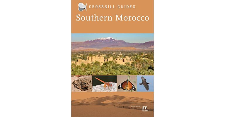 Crossbill Guides - Southern Morocco (September 2022)
