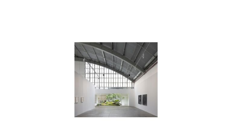 Amag 42 - Acayaba+Rosenberg