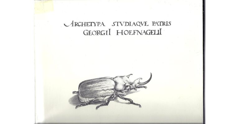 Archetypa studiaque patris Georgii Hoefnagelii:  Natur, Dichtung und Wissenschaft in der Kunst um 1600 /Nature, Poetry and Science in Art around 1600
