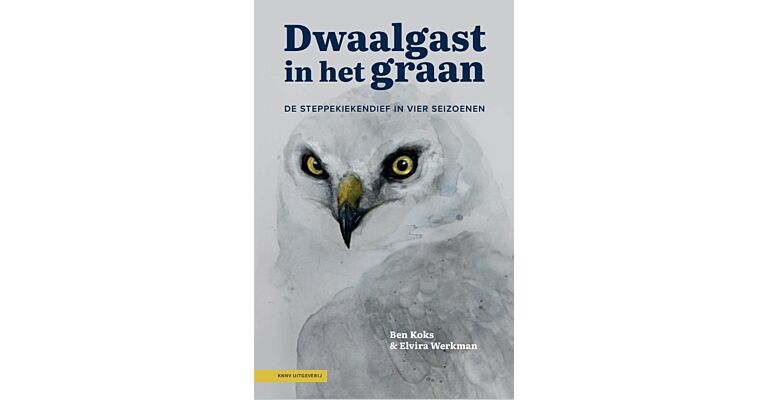 Dwaalgast in het graan - De steppekiekendief in vier seizoenen