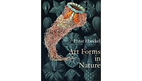 Art Forms in Nature
